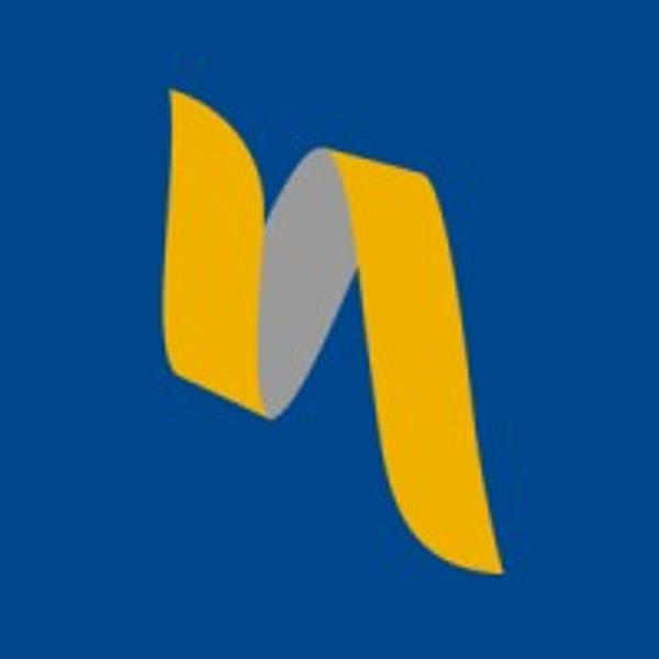 nfortics's Logo
