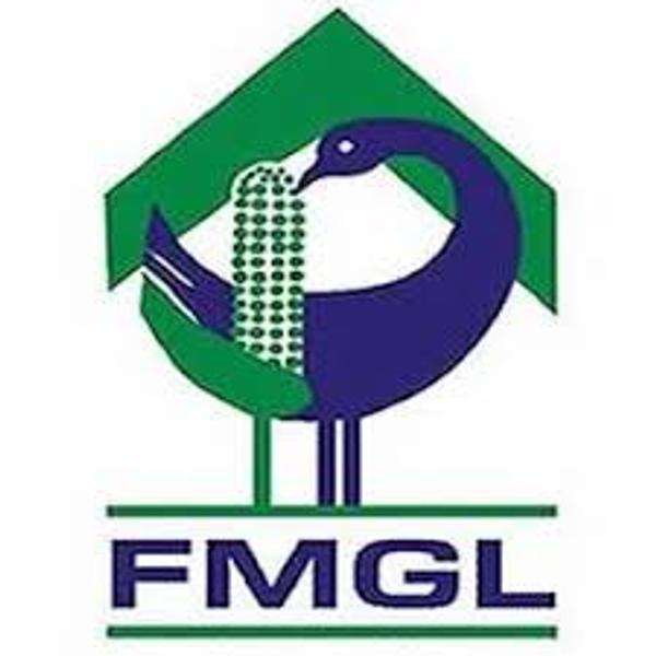 Flour Mills of Ghana Limited's Logo