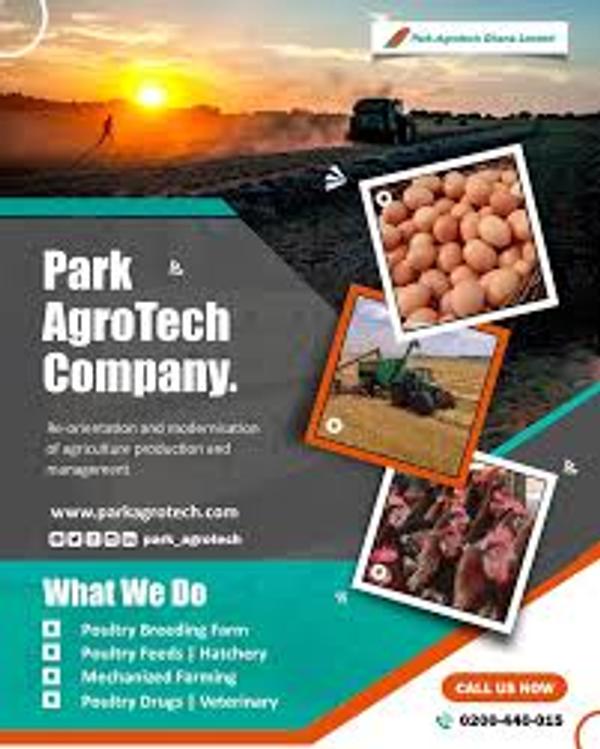 Company Image