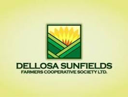 company image