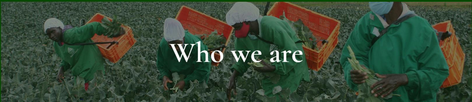 Everest Production Corporation Kenya Ltd banner