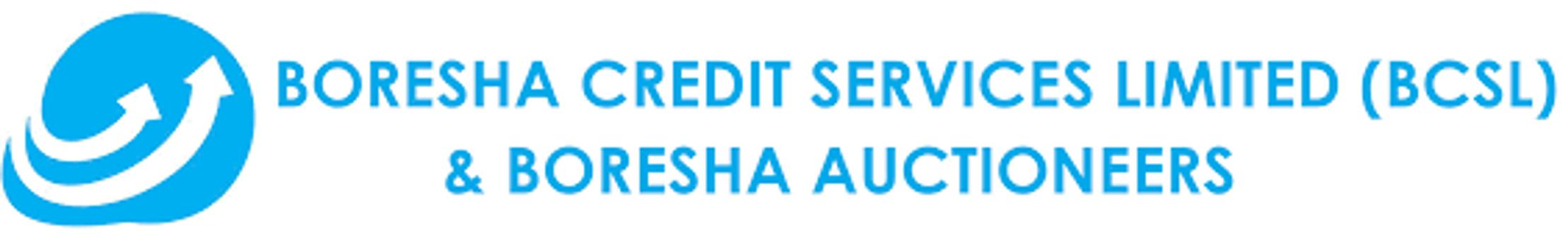 Boresha Credit Services Limited - BCSL banner