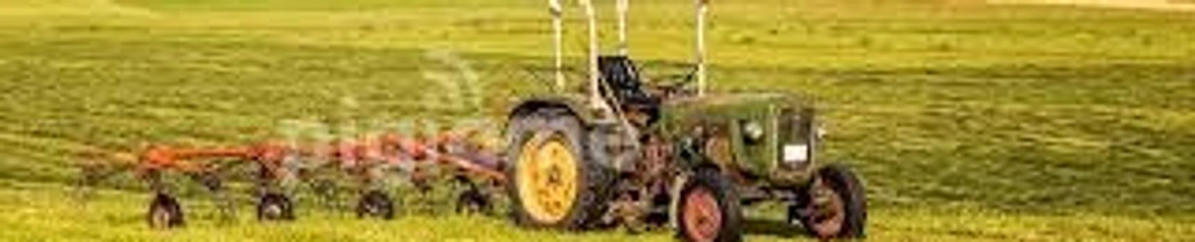 Servizi Agricoli Forestali Afrika (SAFA) LTD. banner