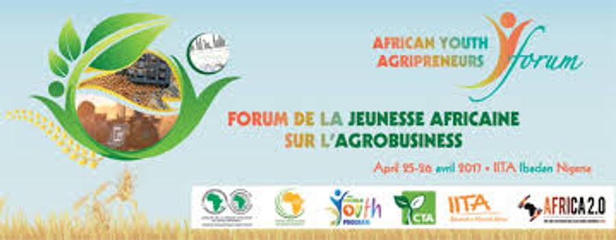Vihiga Young Agripreneurs banner