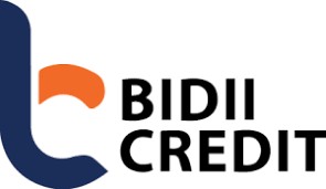 Bidii Credit Limited
