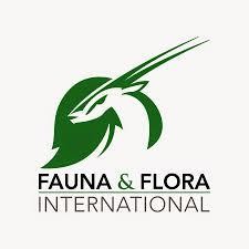 Fauna &amp; Flora International (FFI)