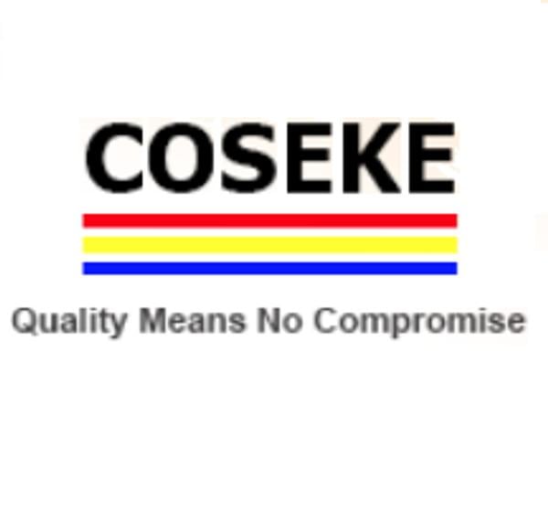 Coseke (K) Limited