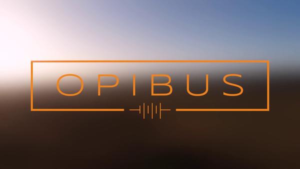 Opibus Limited's Logo