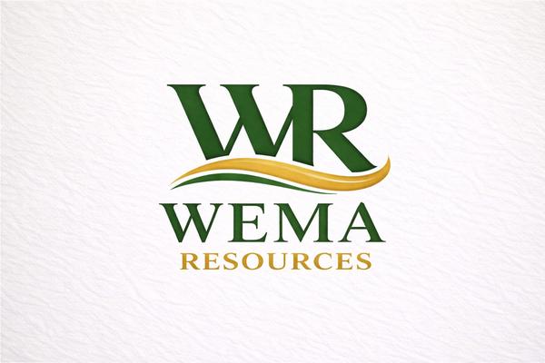 Instep Business Solutions (IBS)