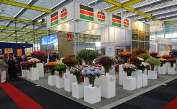 Company Image
