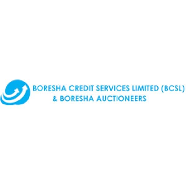 Boresha Credit Services Limited - BCSL's Logo
