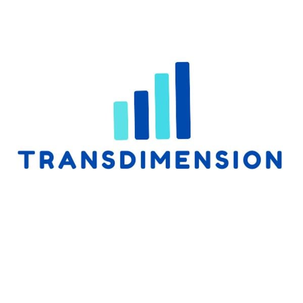 Trans-Dimension Cyber's Logo