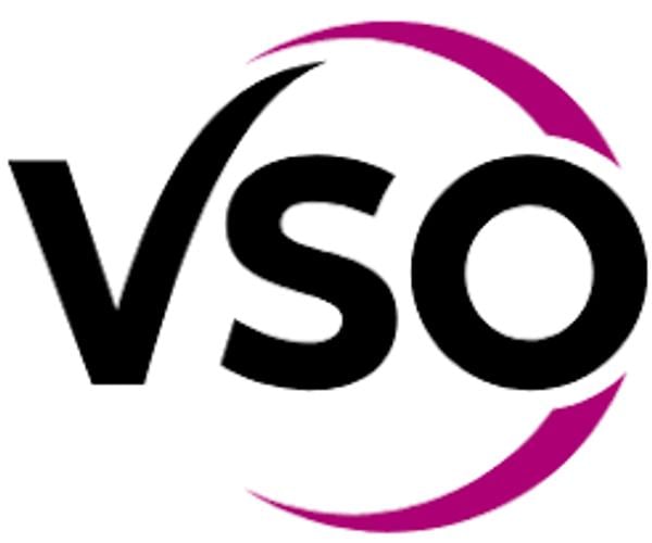 VSO International's Logo