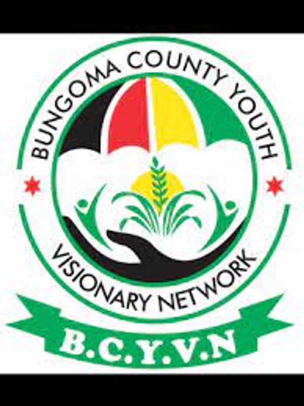 Bungoma County Youth Visionary Network's Logo