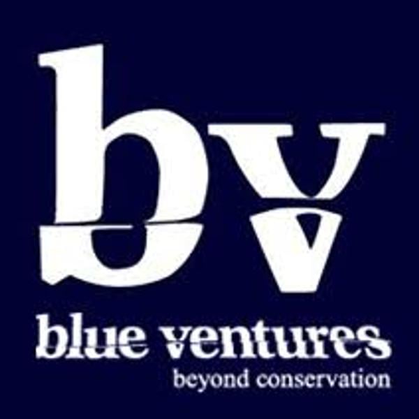 Blue Ventures's Logo