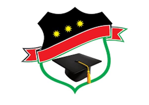 St Ronan Secondary School Limited's Logo