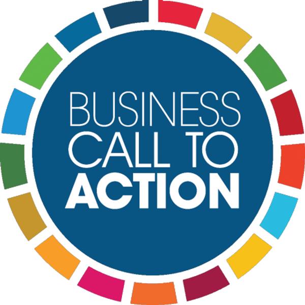 SDG Business Award Winner