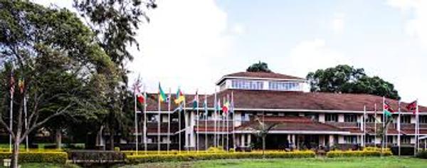 Company Image