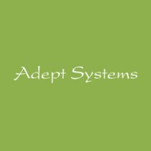 Adept Systems, Management Consultants