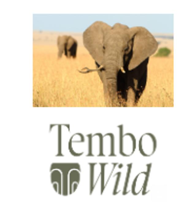 TEMBO WILD