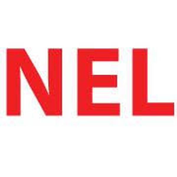 Nairobi Enterprises Ltd - NEL's Logo