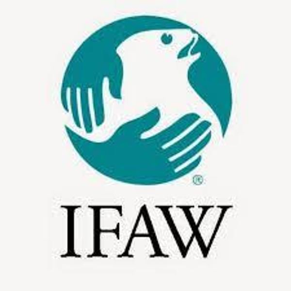 International Fund for Animal Welfare (IFAW)