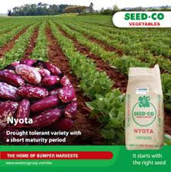 Nyota Farm's Logo