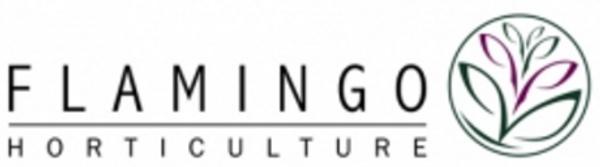 Flamingo Horticulture Kenya Ltd's Logo