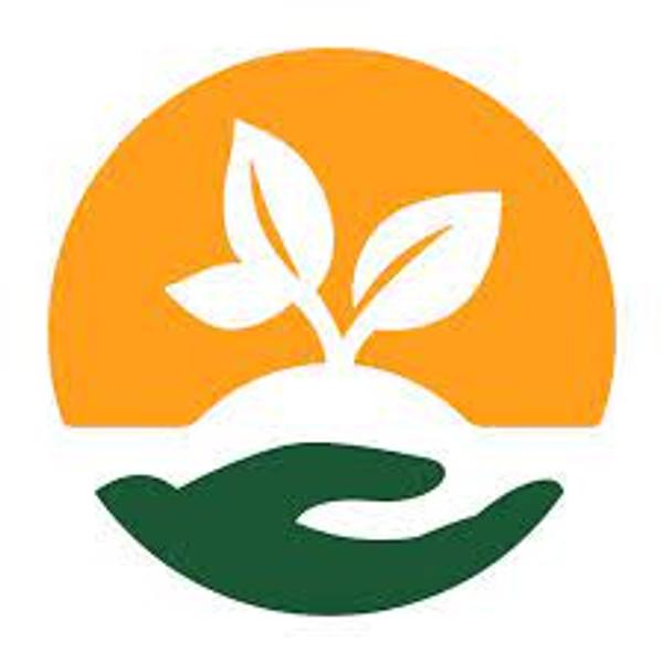 Trees for the Future's Logo