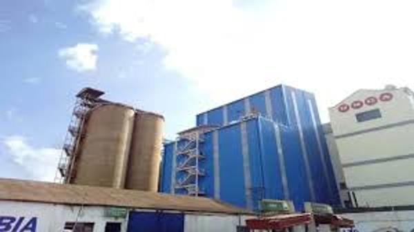 Company Image