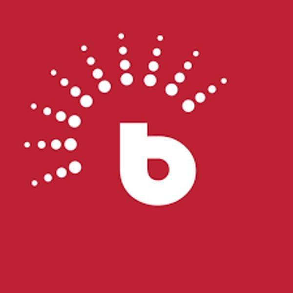 BrighterMonday - Kazi Kwako's Logo