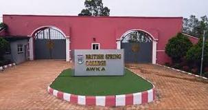 company image