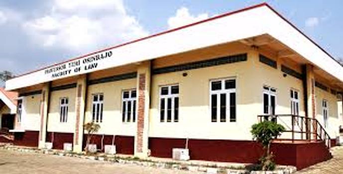 Elizade University banner
