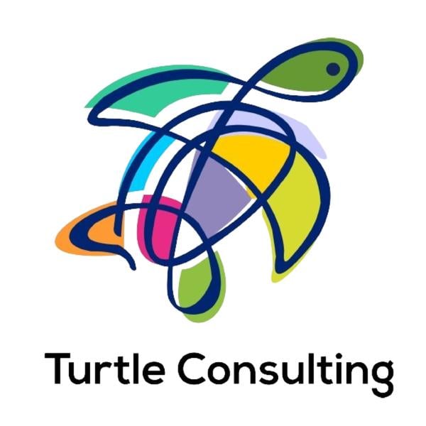 Turtle Consulting Limited