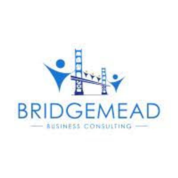 Bridgemead Consulting's Logo