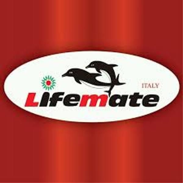 Lifemate NIgeria LImited