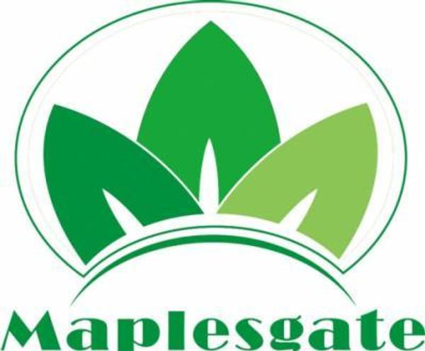 MAPLESGATE LIMITED