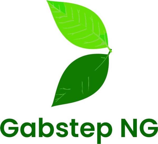 Gab Step Services Nig Ltd