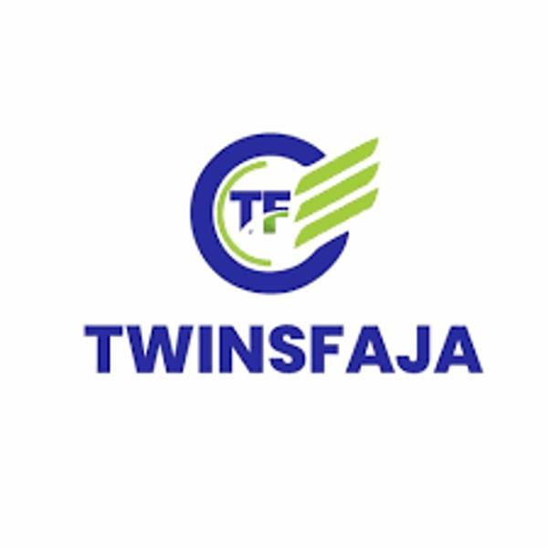 Twins Faja Nigeria's Logo
