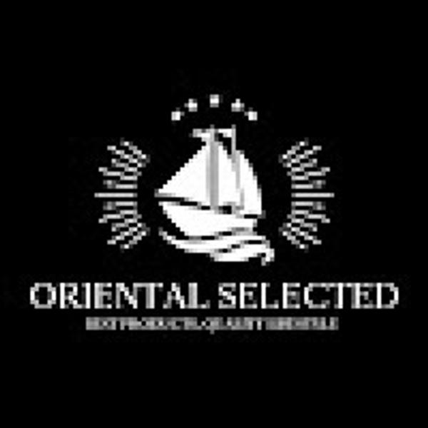 Oriental Selected LLC