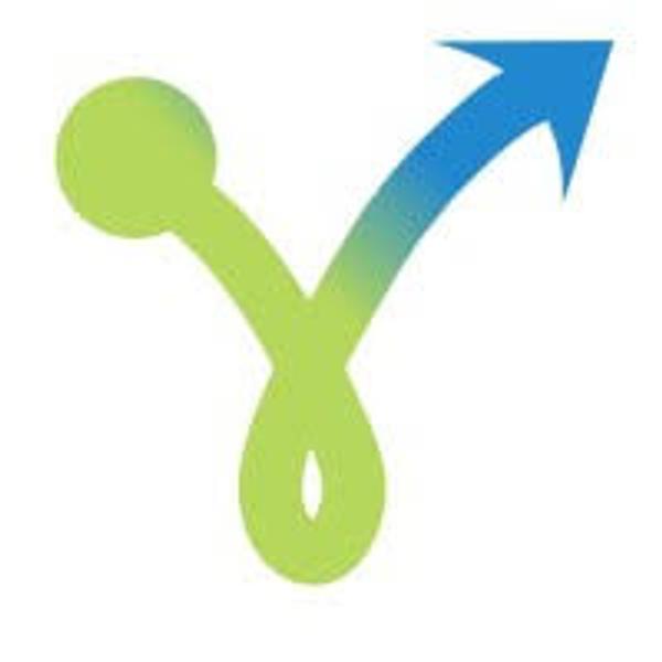 YIP Online Limited
