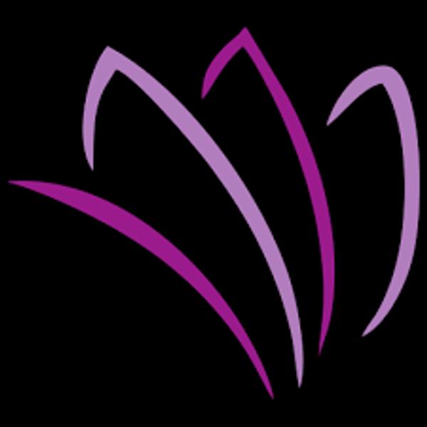 Lotus Beta Analytics