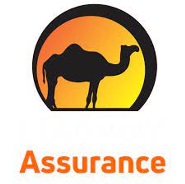 Leadway Assurance Limited