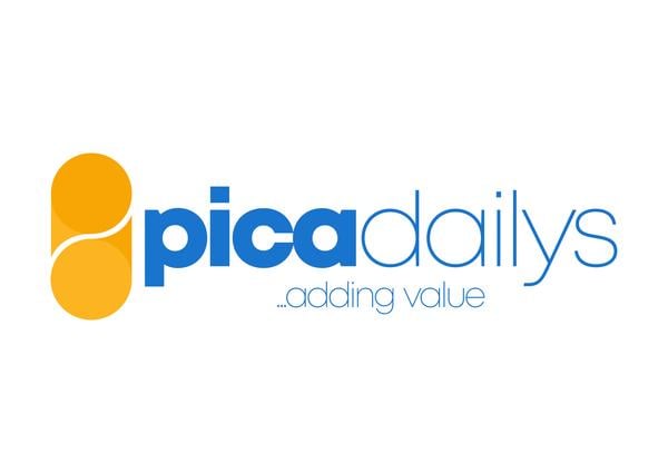 Picadailys Services Nig Ltd