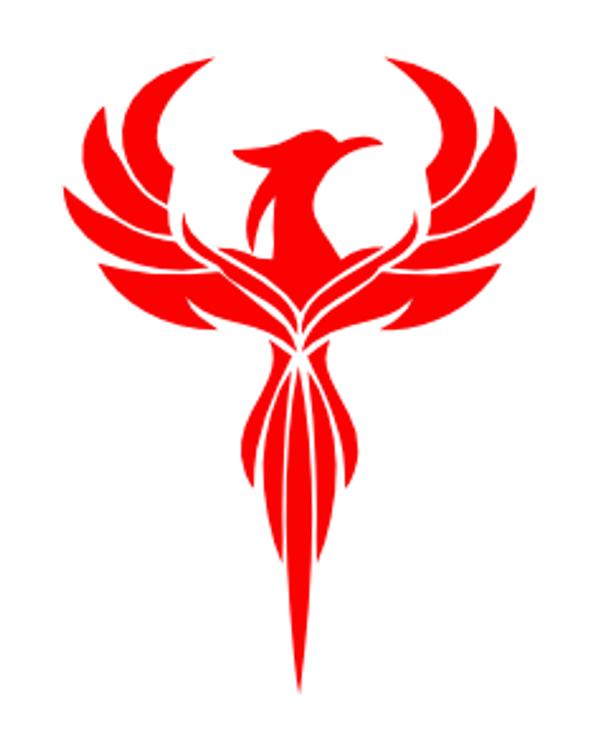 The Anakin Network Services Ltd