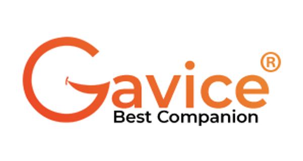 Gavice Logistics Limited