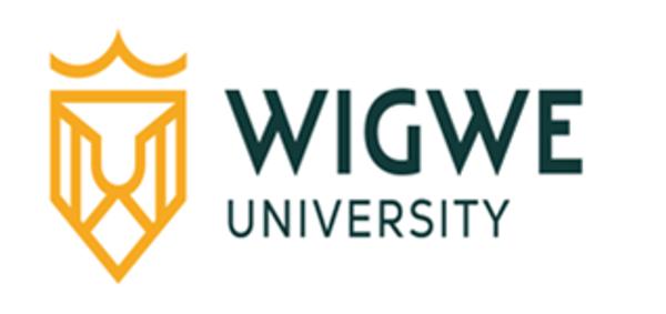 Wigwe University Port Harcourt