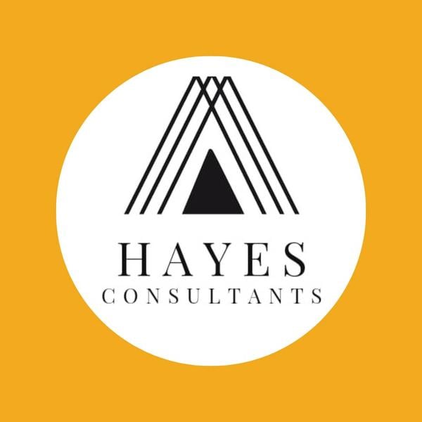 Hayes Consultants Nigeria Ltd