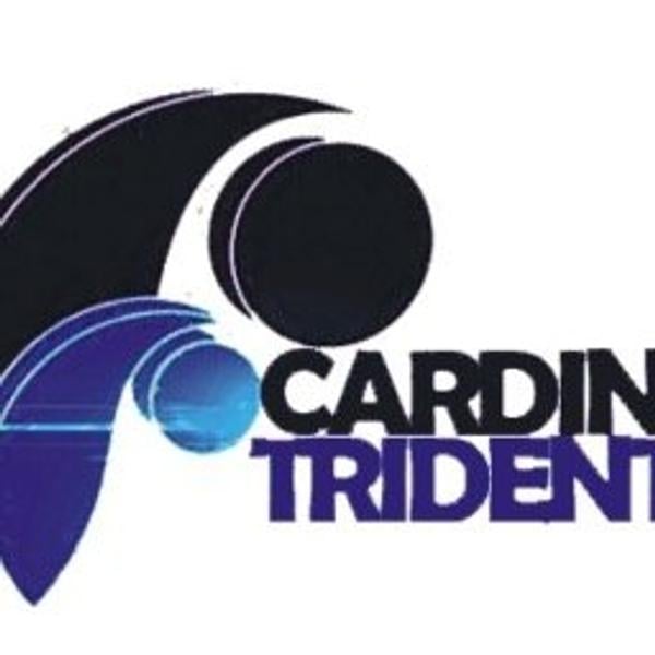 Cardin Trident Ltd.