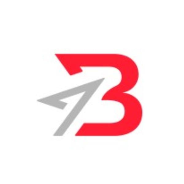 BashleeNG